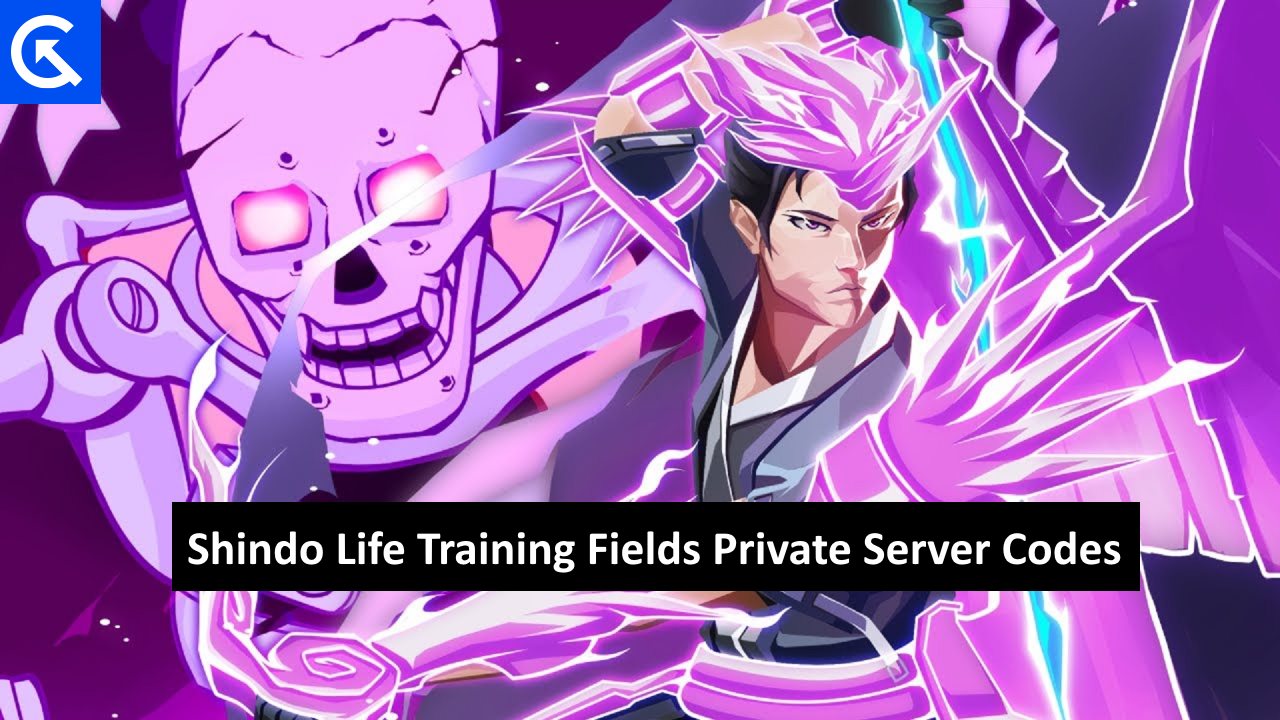 Shindo Life Training Fields Private Server Codes