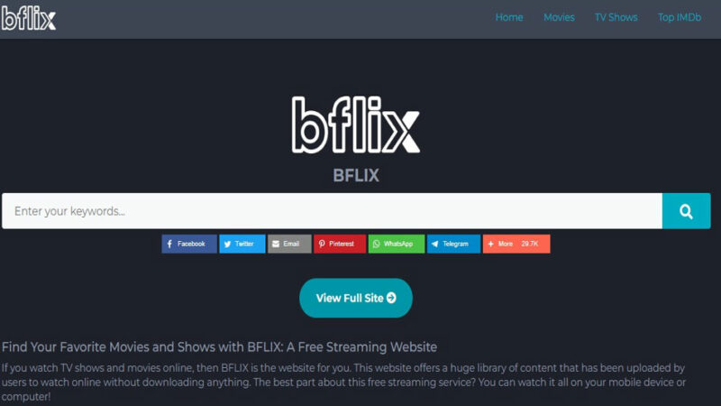 How to Fix Bflix.sx Not Working?