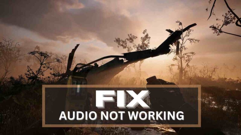 Stalker 2 Audio Not Working