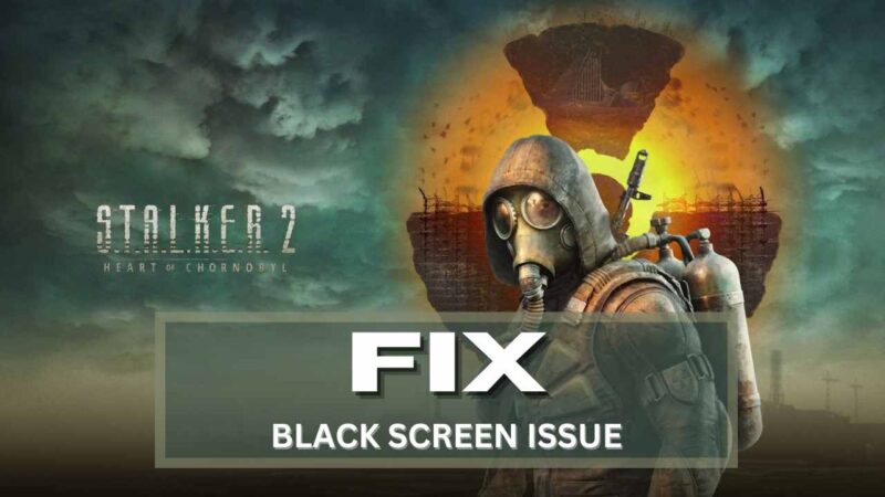 Stalker 2 Black Screen Issue
